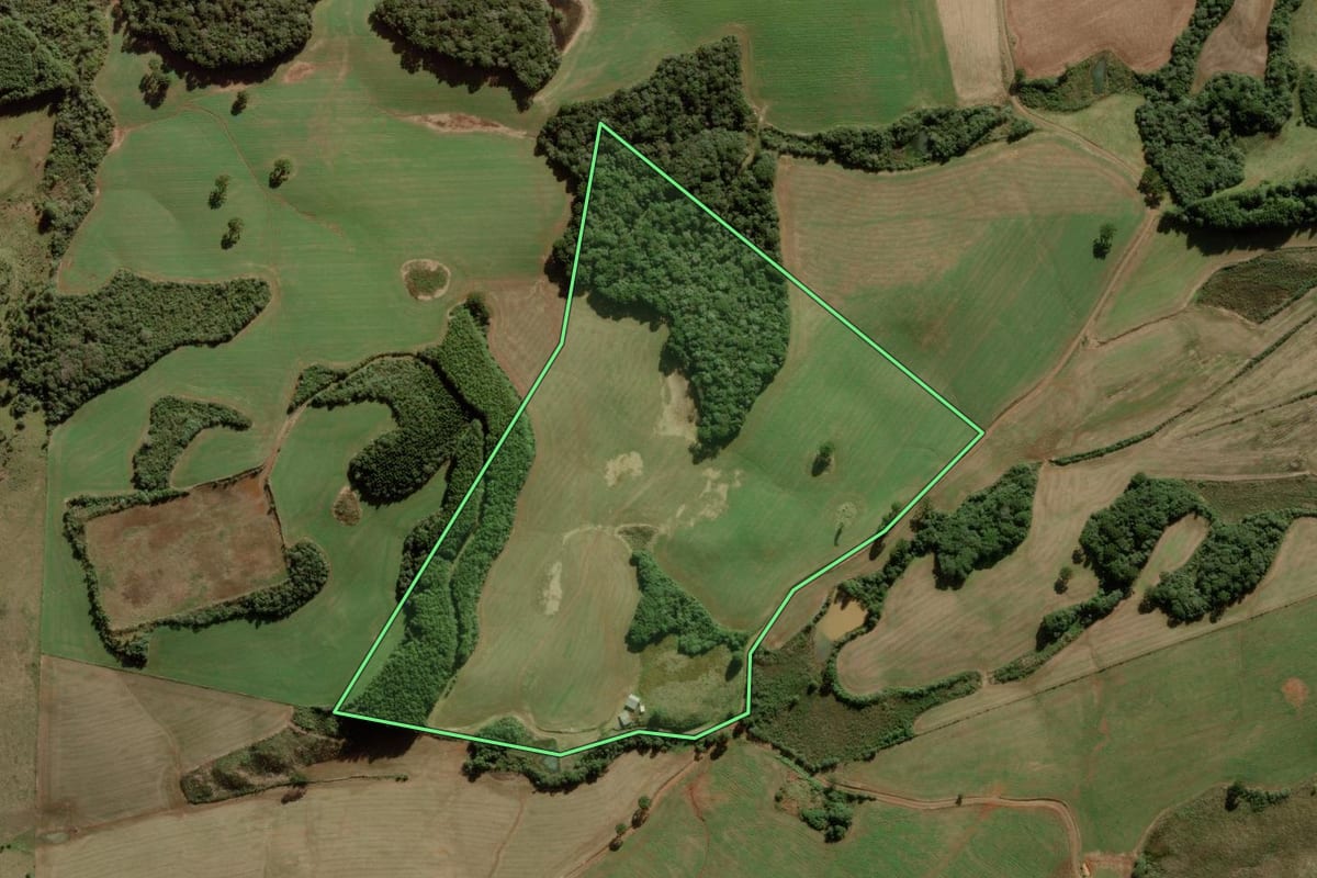 Imagem de satélite do imóvel rural em Campos Novos (SC), com o contorno declarado no CAR desenhado por cima.