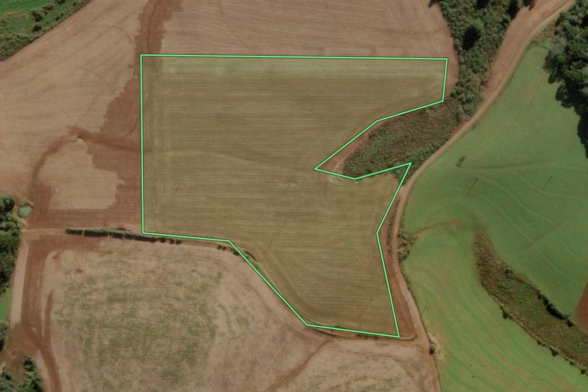 Imagem de satélite do imóvel rural em Campos Novos (SC), com o contorno declarado no CAR desenhado por cima.