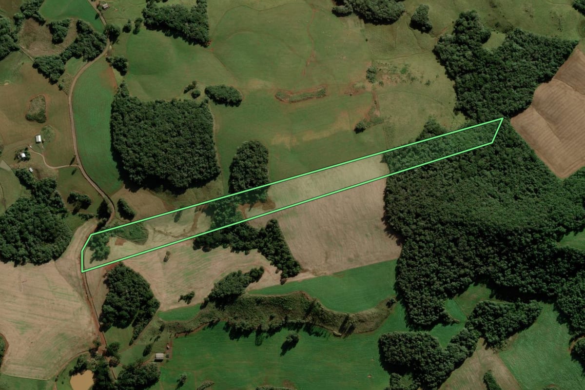 Imagem de satélite do imóvel rural em Campos Novos (SC), com o contorno declarado no CAR desenhado por cima.