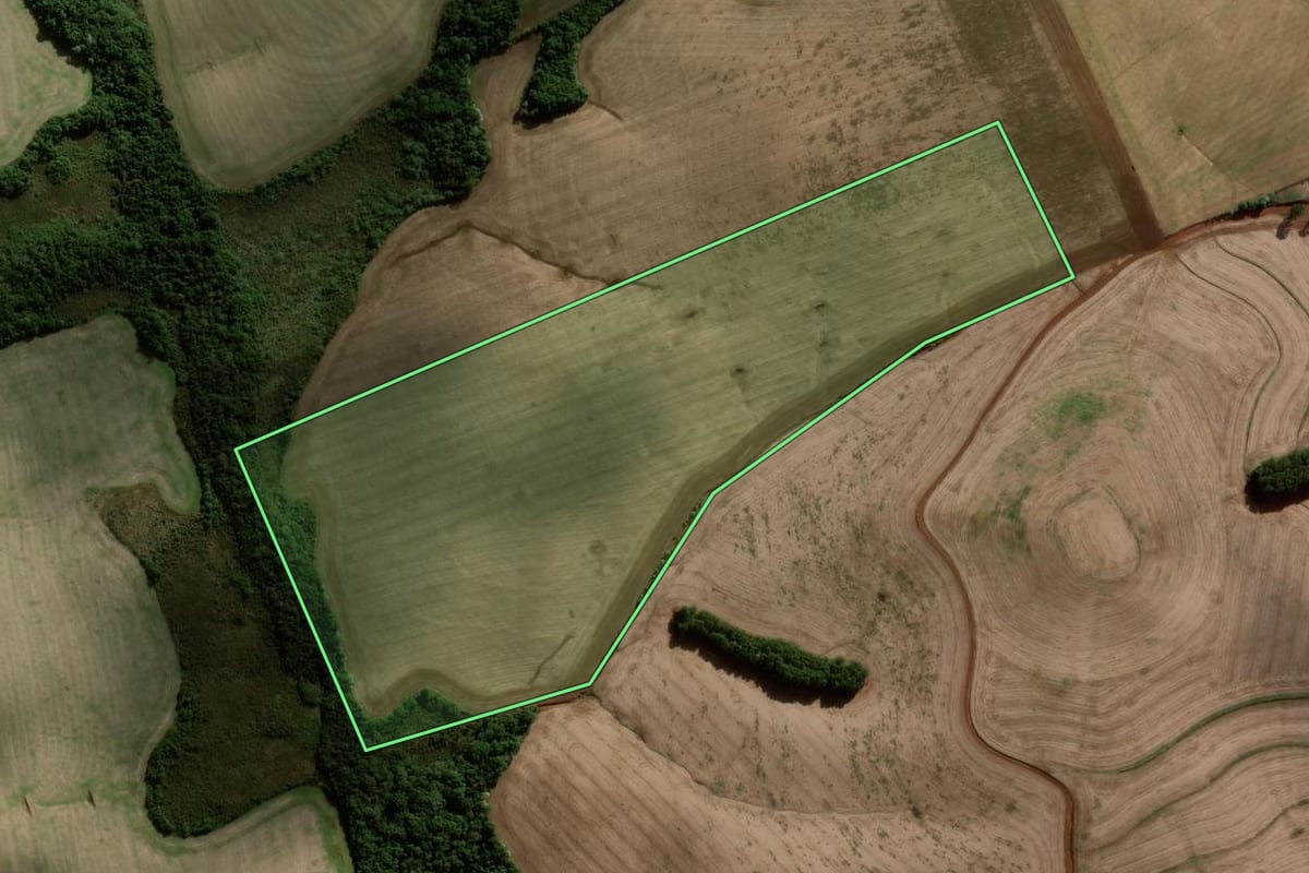 Imagem de satélite do imóvel rural em Campos Novos (SC), com o contorno declarado no CAR desenhado por cima.