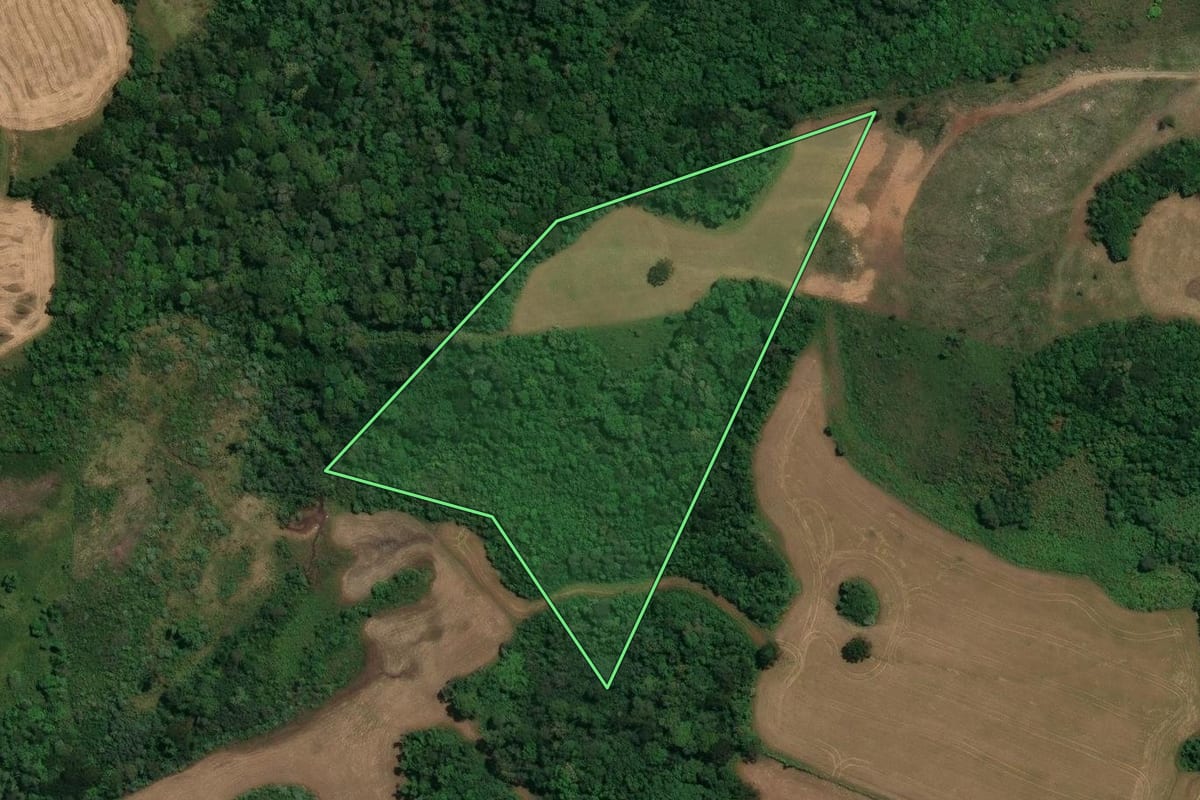 Imagem de satélite do imóvel rural em Campos Novos (SC), com o contorno declarado no CAR desenhado por cima.