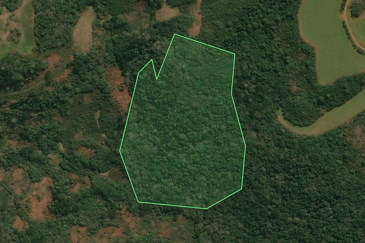 Imagem de satélite do imóvel rural em Campos Novos (SC), com o contorno declarado no CAR desenhado por cima.