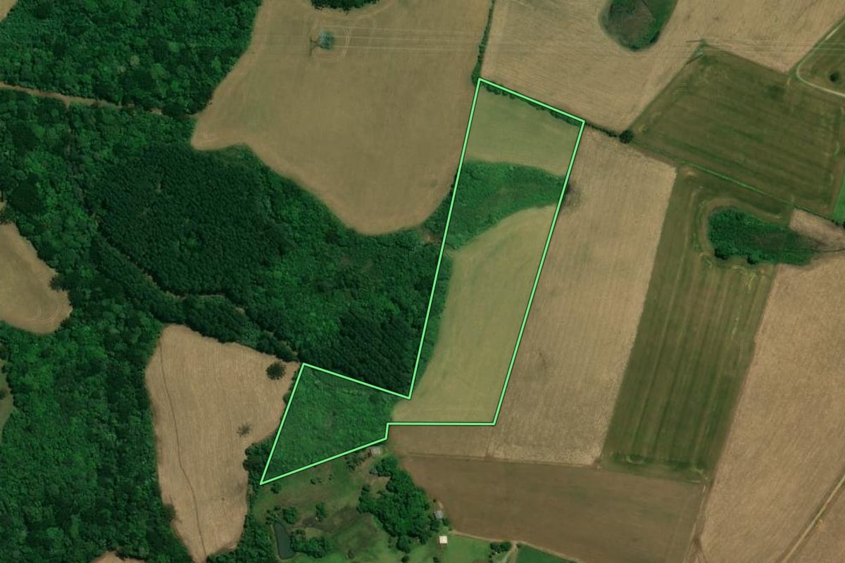 Imagem de satélite do imóvel rural em Campos Novos (SC), com o contorno declarado no CAR desenhado por cima.
