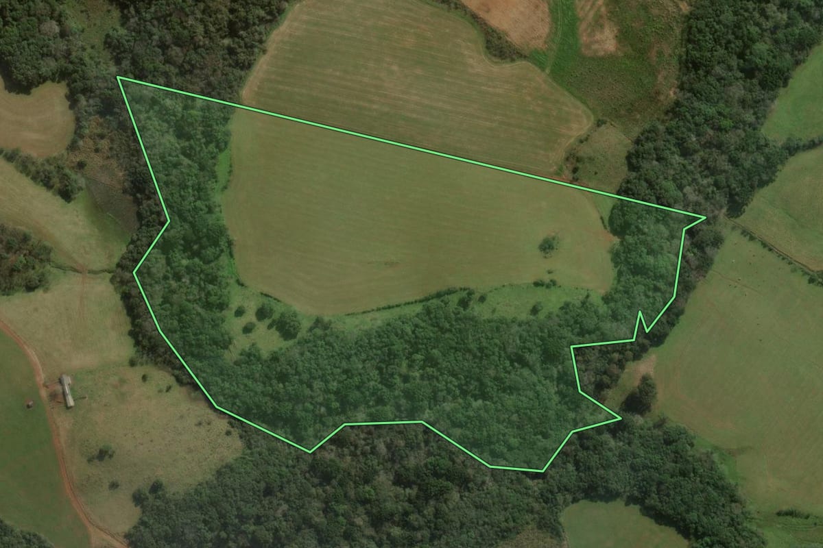 Imagem de satélite do imóvel rural em Campos Novos (SC), com o contorno declarado no CAR desenhado por cima.