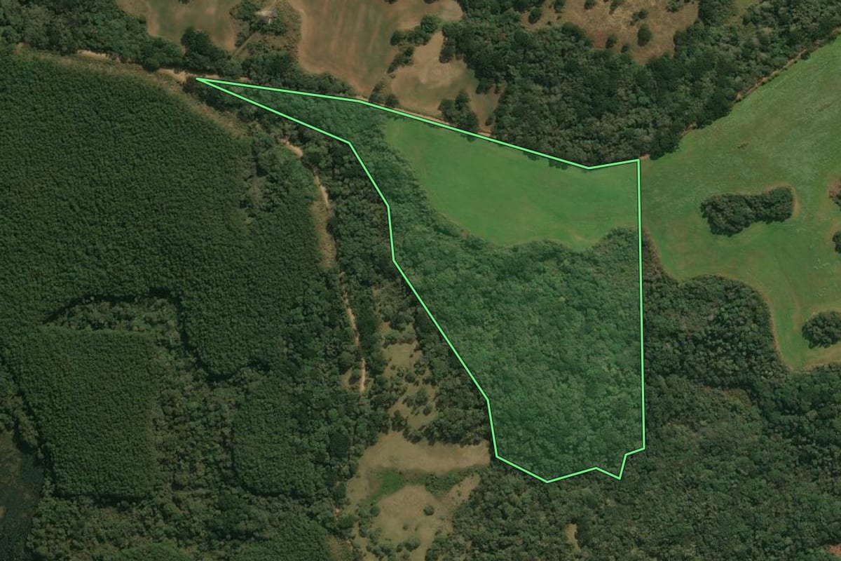 Imagem de satélite do imóvel rural em Campos Novos (SC), com o contorno declarado no CAR desenhado por cima.