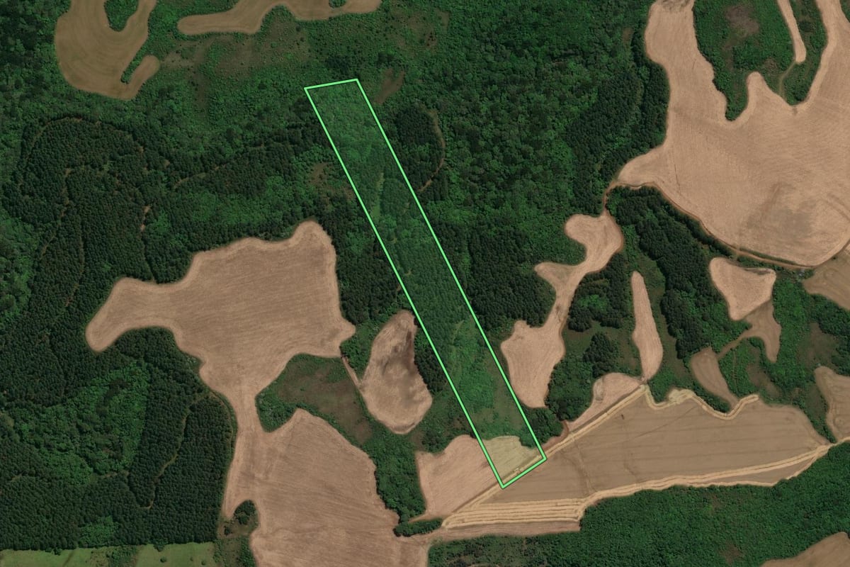 Imagem de satélite do imóvel rural em Campos Novos (SC), com o contorno declarado no CAR desenhado por cima.