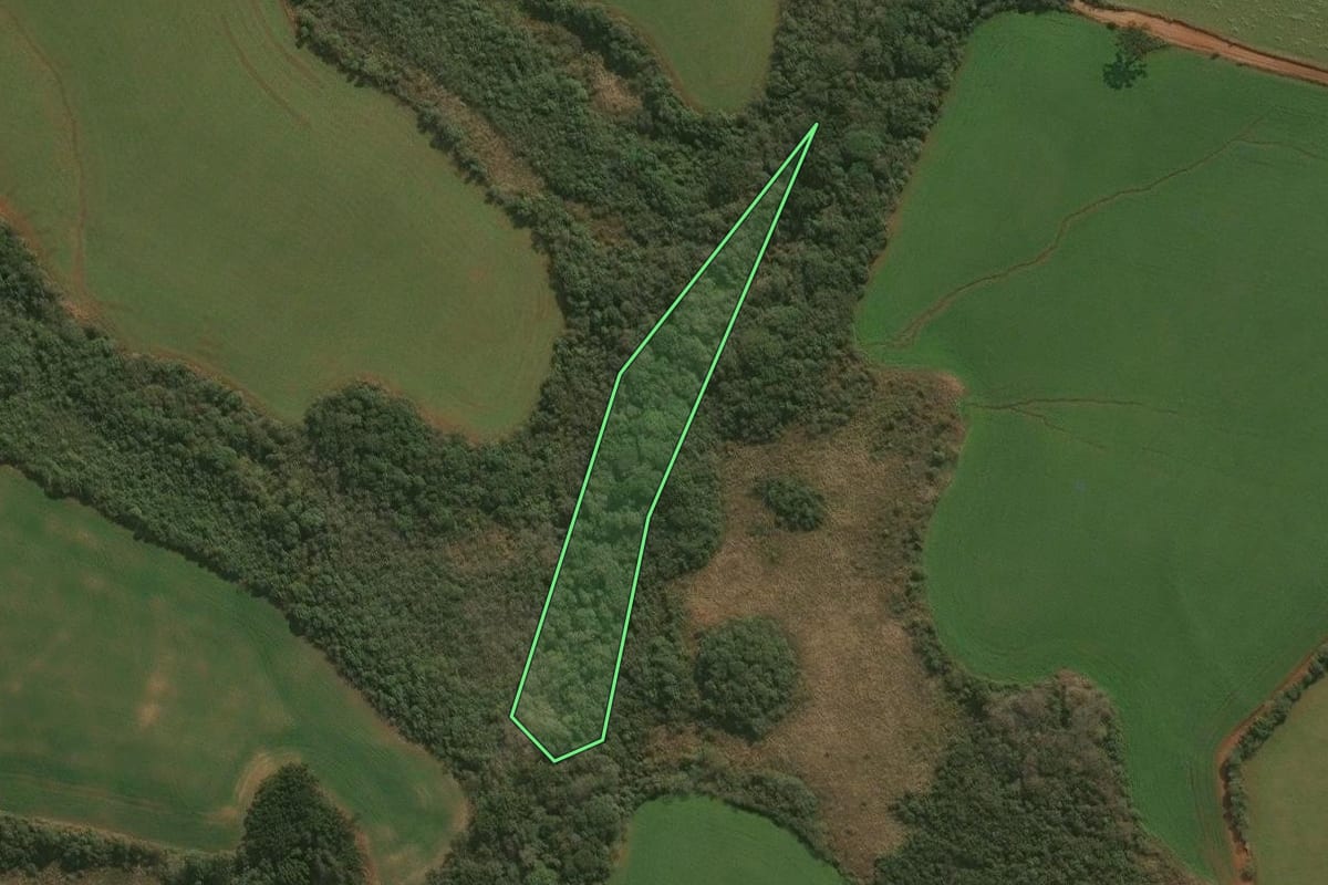 Imagem de satélite do imóvel rural em Campos Novos (SC), com o contorno declarado no CAR desenhado por cima.