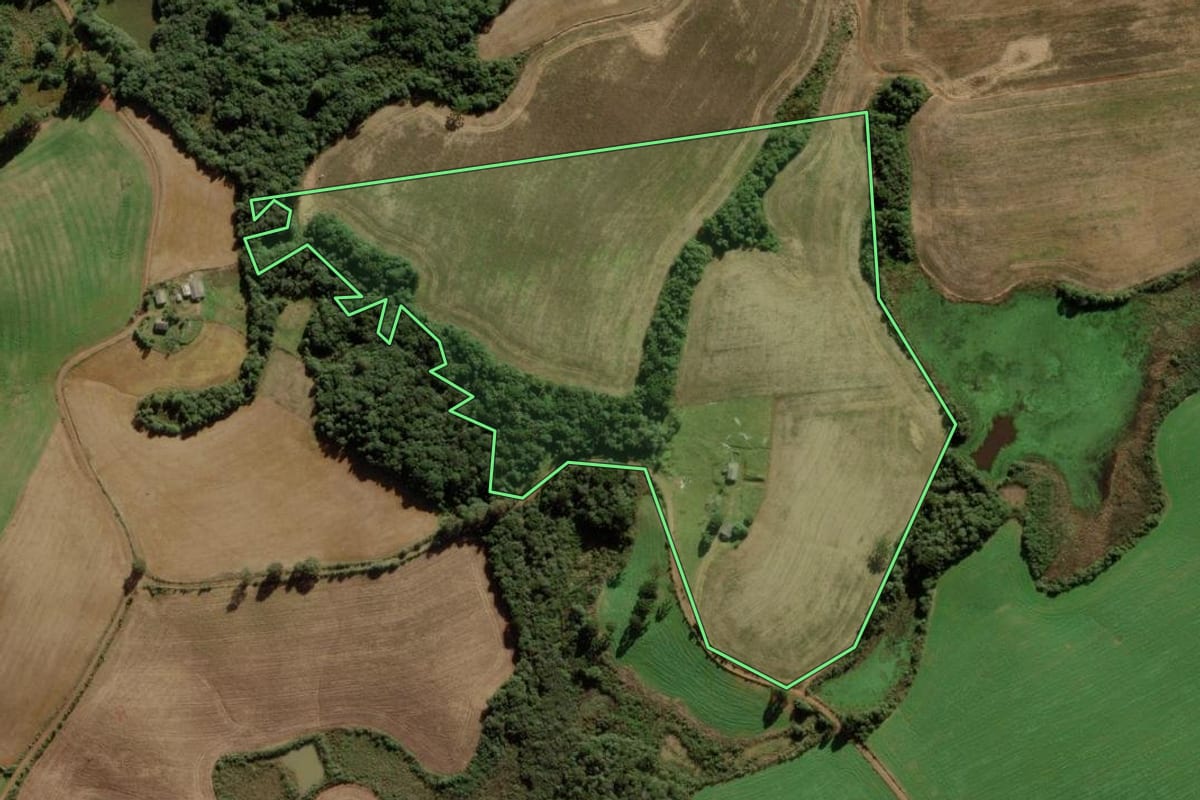 Imagem de satélite do imóvel rural em Campos Novos (SC), com o contorno declarado no CAR desenhado por cima.