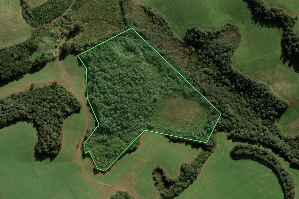 Imagem de satélite do imóvel rural em Campos Novos (SC), com o contorno declarado no CAR desenhado por cima.