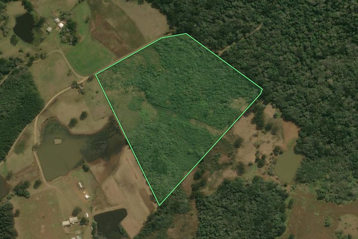 Imagem de satélite do imóvel rural em Campos Novos (SC), com o contorno declarado no CAR desenhado por cima.