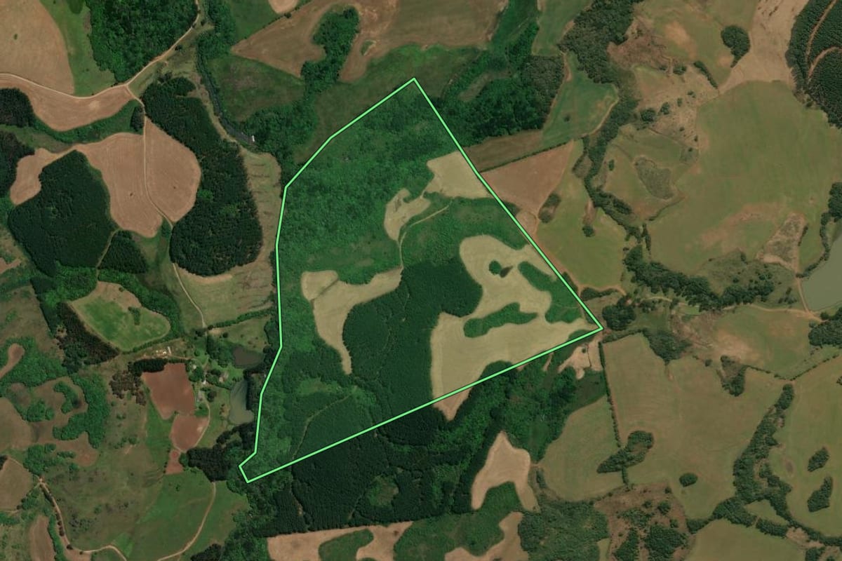 Imagem de satélite do imóvel rural em Campos Novos (SC), com o contorno declarado no CAR desenhado por cima.