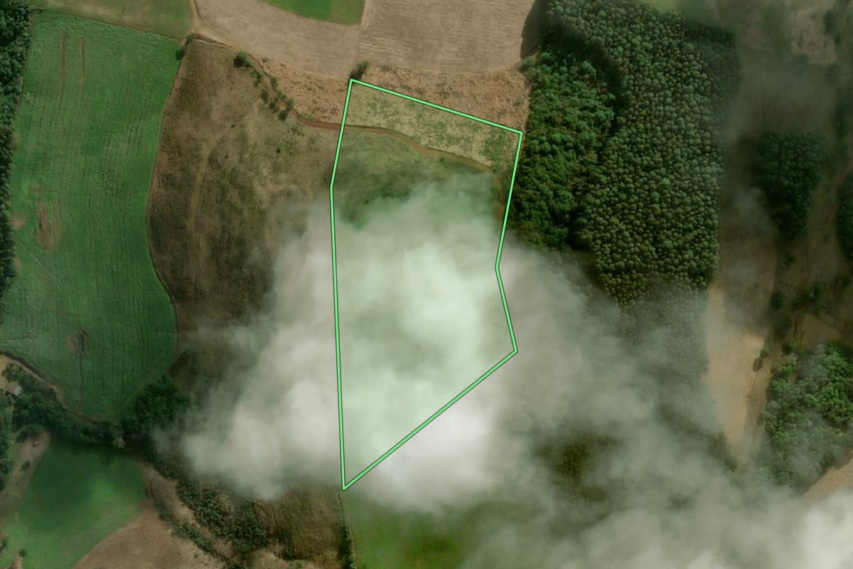 Imagem de satélite do imóvel rural em Campos Novos (SC), com o contorno declarado no CAR desenhado por cima.