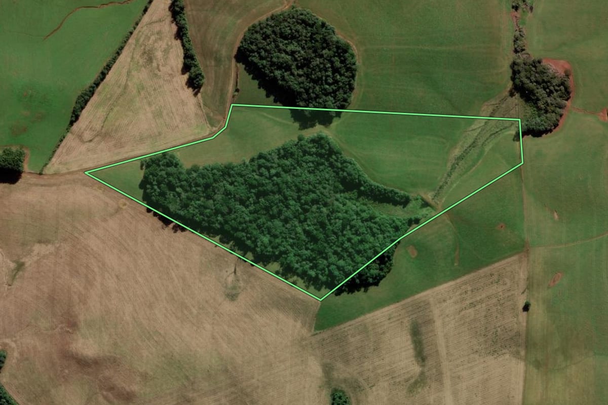 Imagem de satélite do imóvel rural em Campos Novos (SC), com o contorno declarado no CAR desenhado por cima.