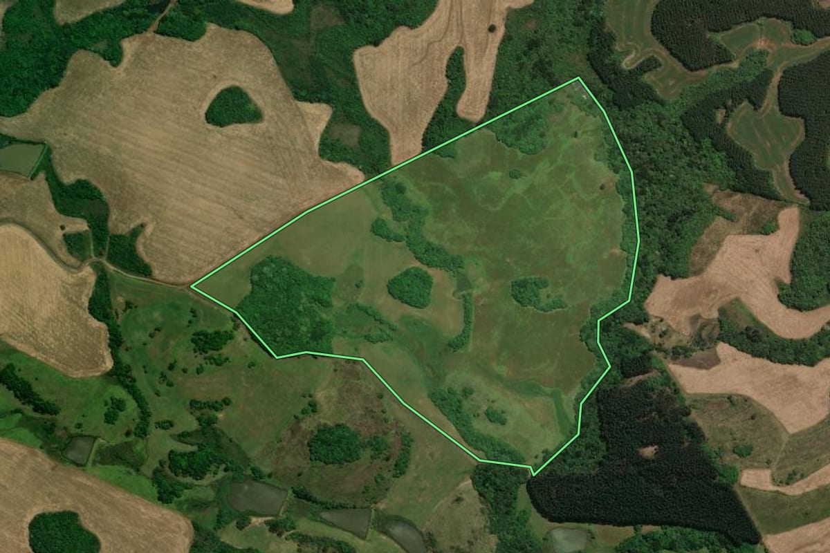 Imagem de satélite do imóvel rural em Campos Novos (SC), com o contorno declarado no CAR desenhado por cima.