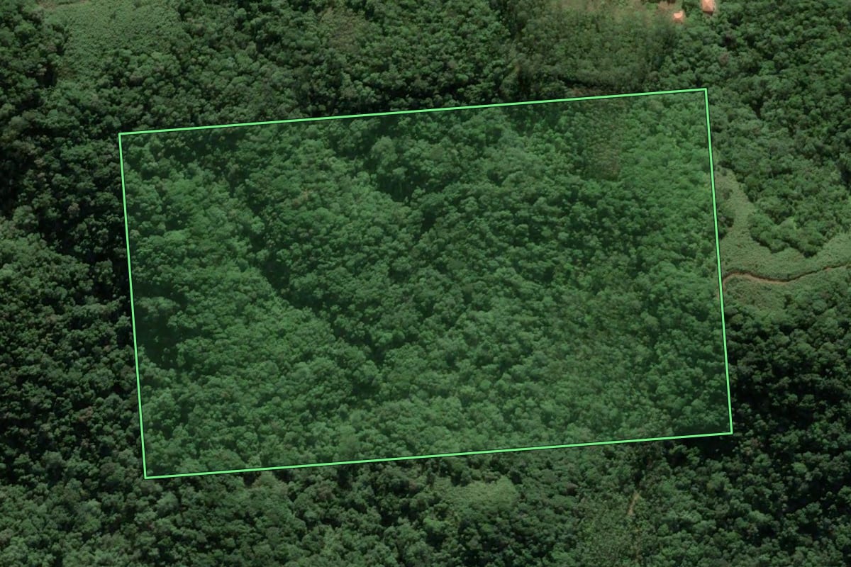 Imagem de satélite do imóvel rural em Canelinha (SC), com o contorno declarado no CAR desenhado por cima.