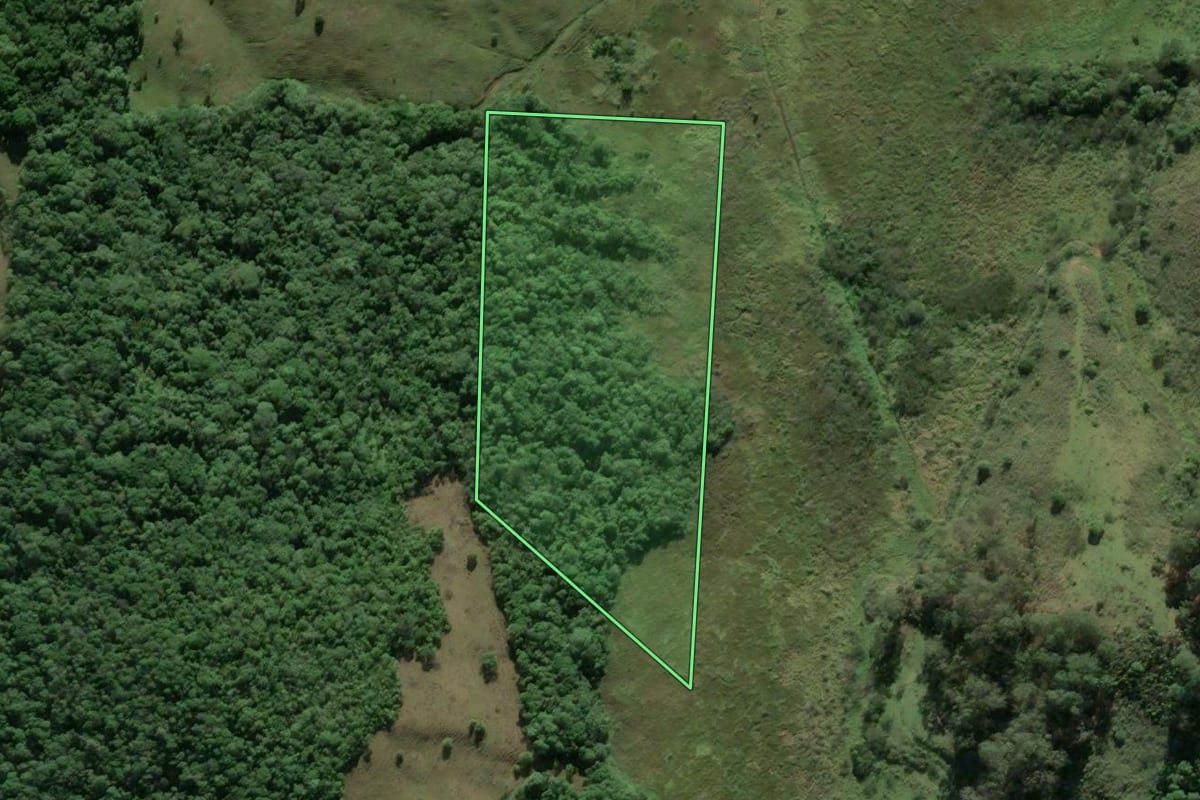Imagem de satélite do imóvel rural em Canelinha (SC), com o contorno declarado no CAR desenhado por cima.