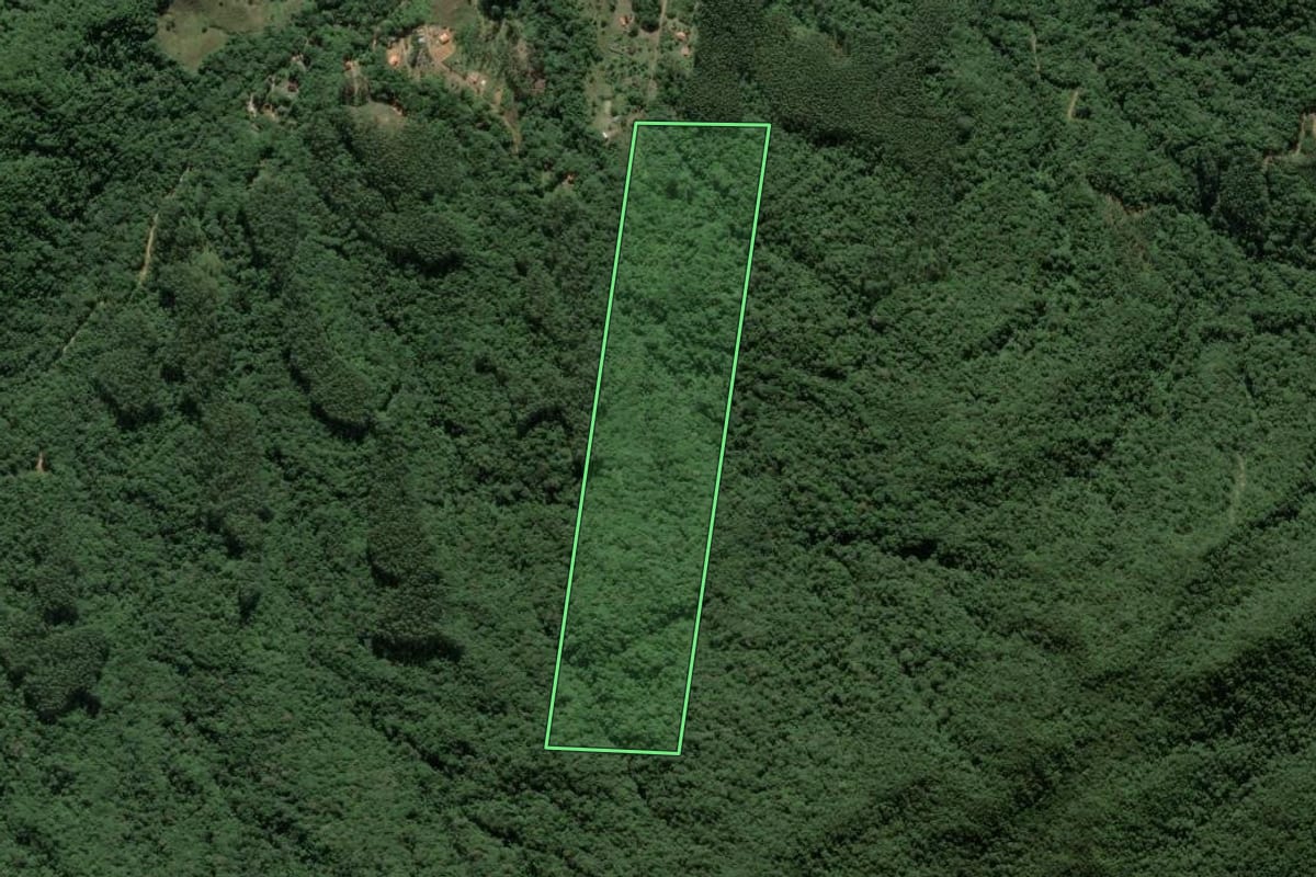 Imagem de satélite do imóvel rural em Canelinha (SC), com o contorno declarado no CAR desenhado por cima.