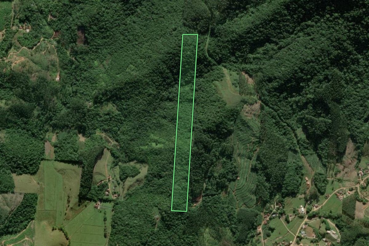 Imagem de satélite do imóvel rural em Canelinha (SC), com o contorno declarado no CAR desenhado por cima.