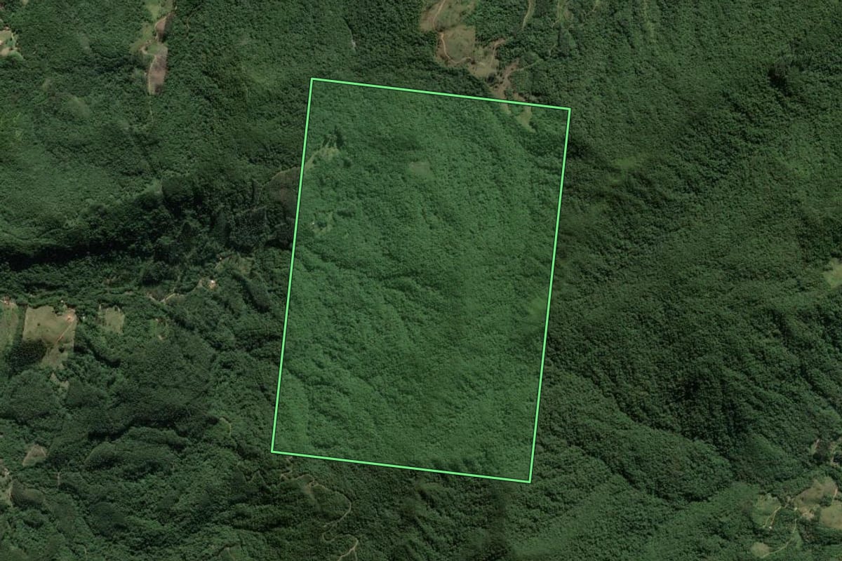 Imagem de satélite do imóvel rural em Canelinha (SC), com o contorno declarado no CAR desenhado por cima.