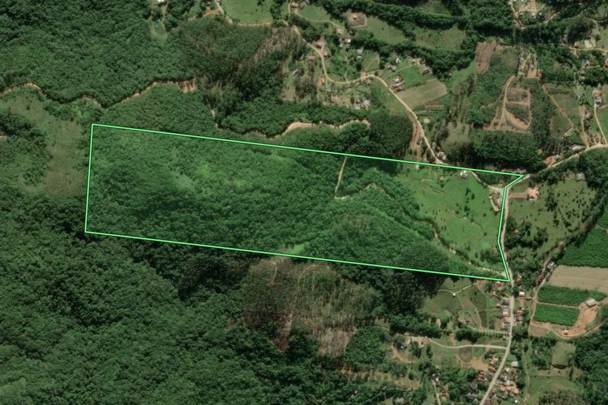 Imagem de satélite do imóvel rural em Canelinha (SC), com o contorno declarado no CAR desenhado por cima.