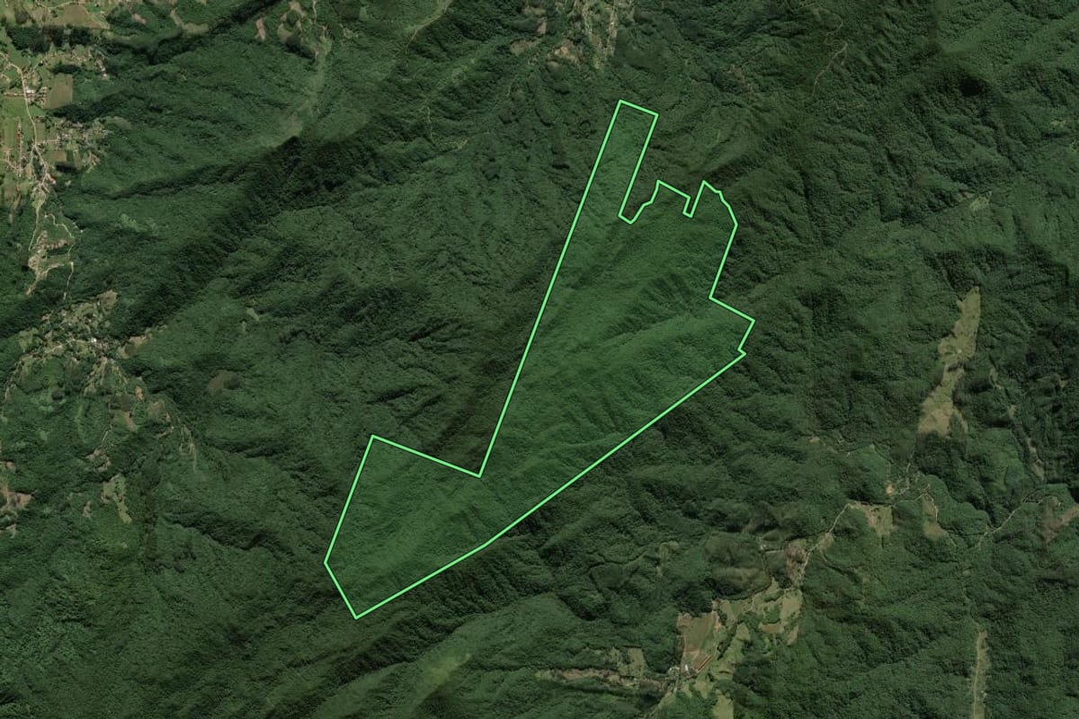 Imagem de satélite do imóvel rural em Canelinha (SC), com o contorno declarado no CAR desenhado por cima.