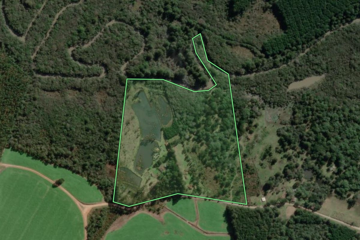 Imagem de satélite do imóvel rural em Canoinhas (SC), com o contorno declarado no CAR desenhado por cima.