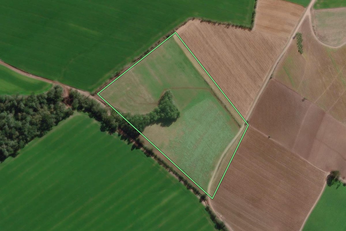 Imagem de satélite do imóvel rural em Canoinhas (SC), com o contorno declarado no CAR desenhado por cima.