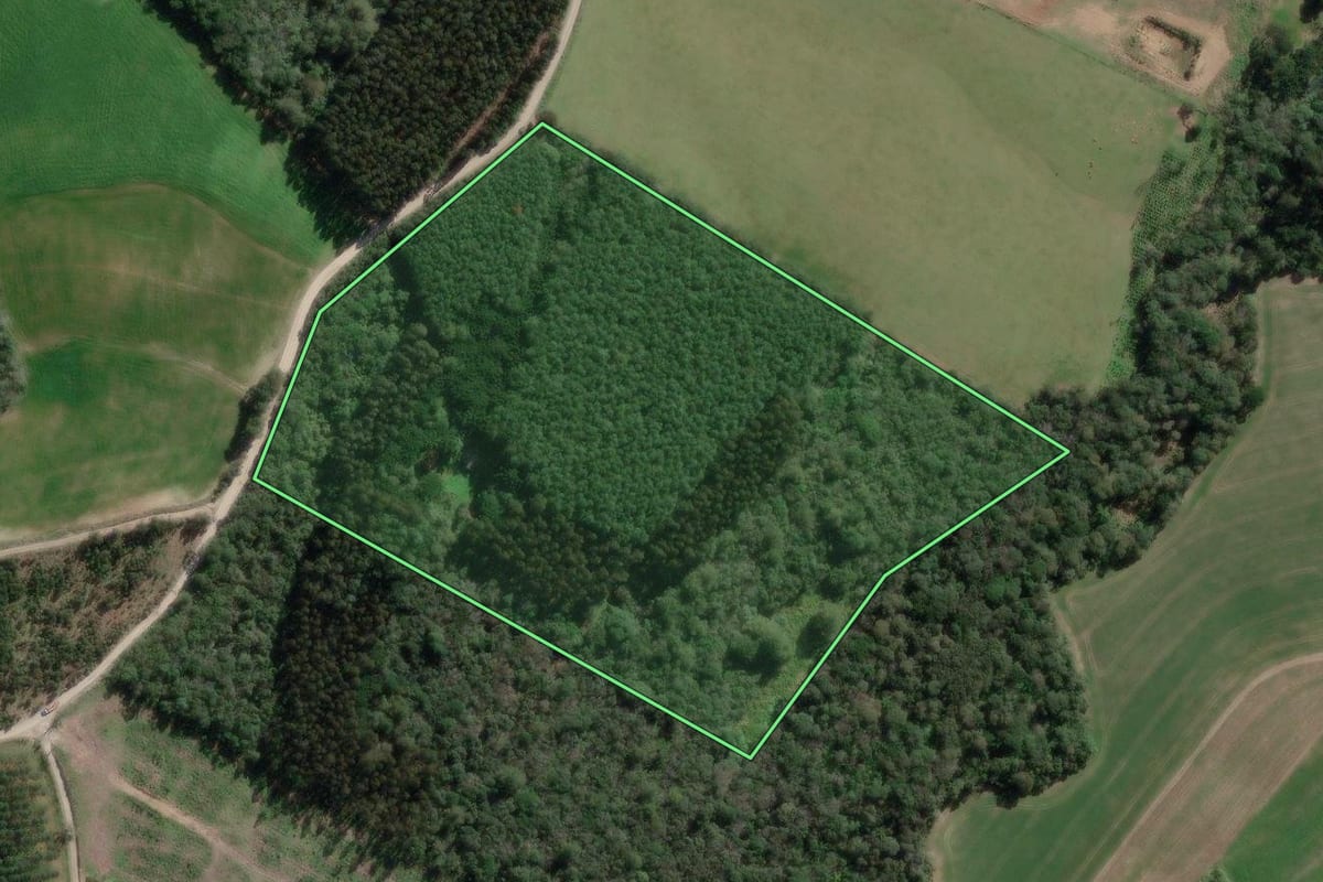 Imagem de satélite do imóvel rural em Canoinhas (SC), com o contorno declarado no CAR desenhado por cima.