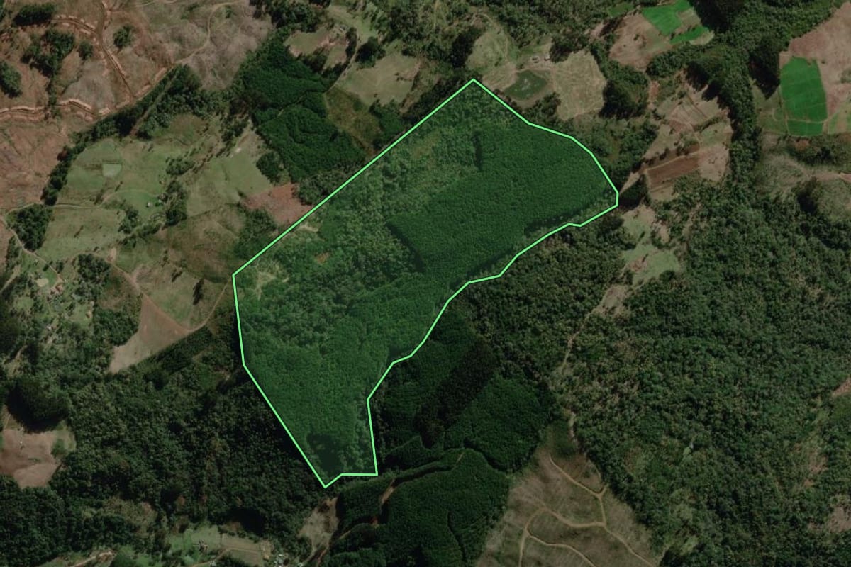 Imagem de satélite do imóvel rural em Canoinhas (SC), com o contorno declarado no CAR desenhado por cima.
