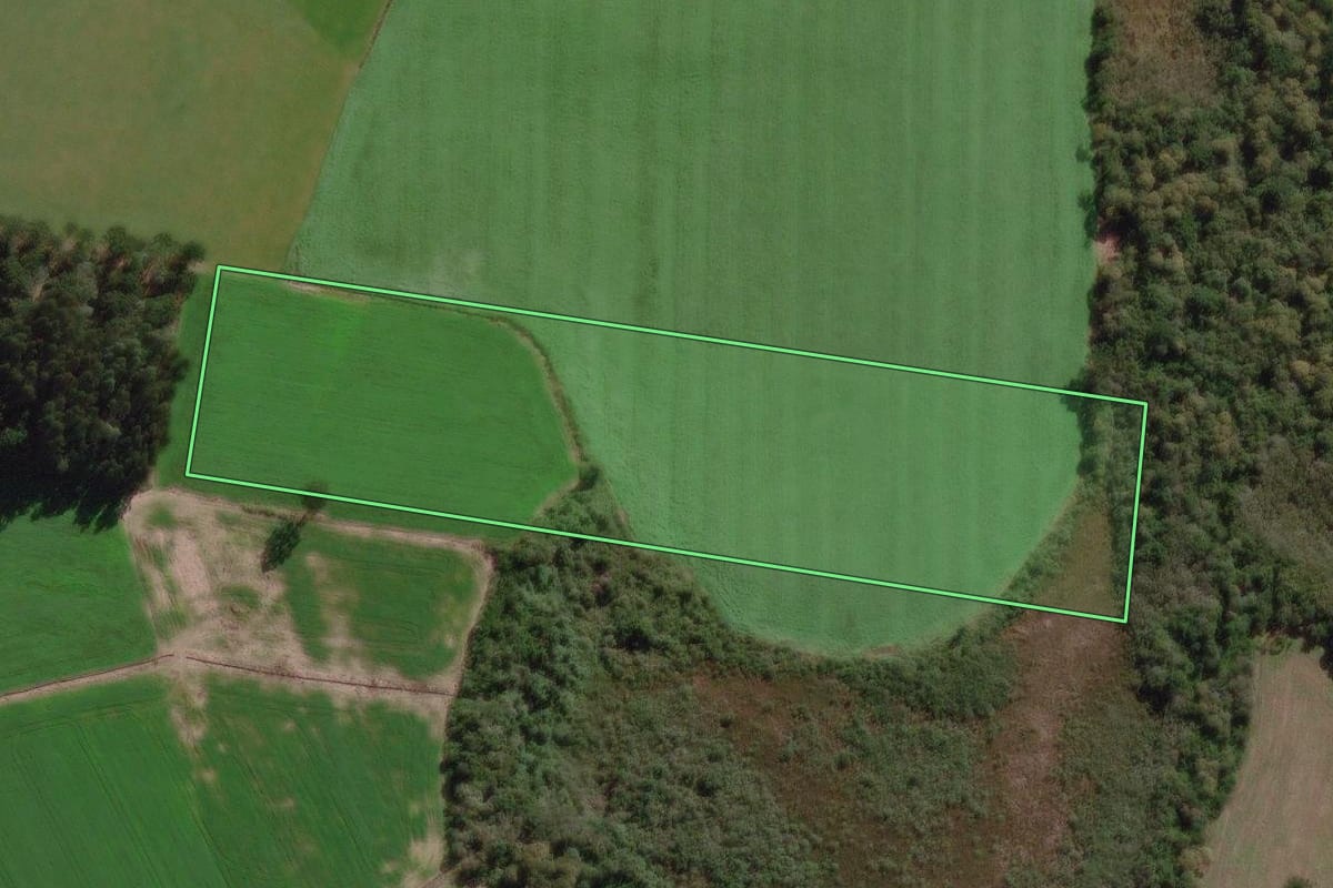 Imagem de satélite do imóvel rural em Canoinhas (SC), com o contorno declarado no CAR desenhado por cima.