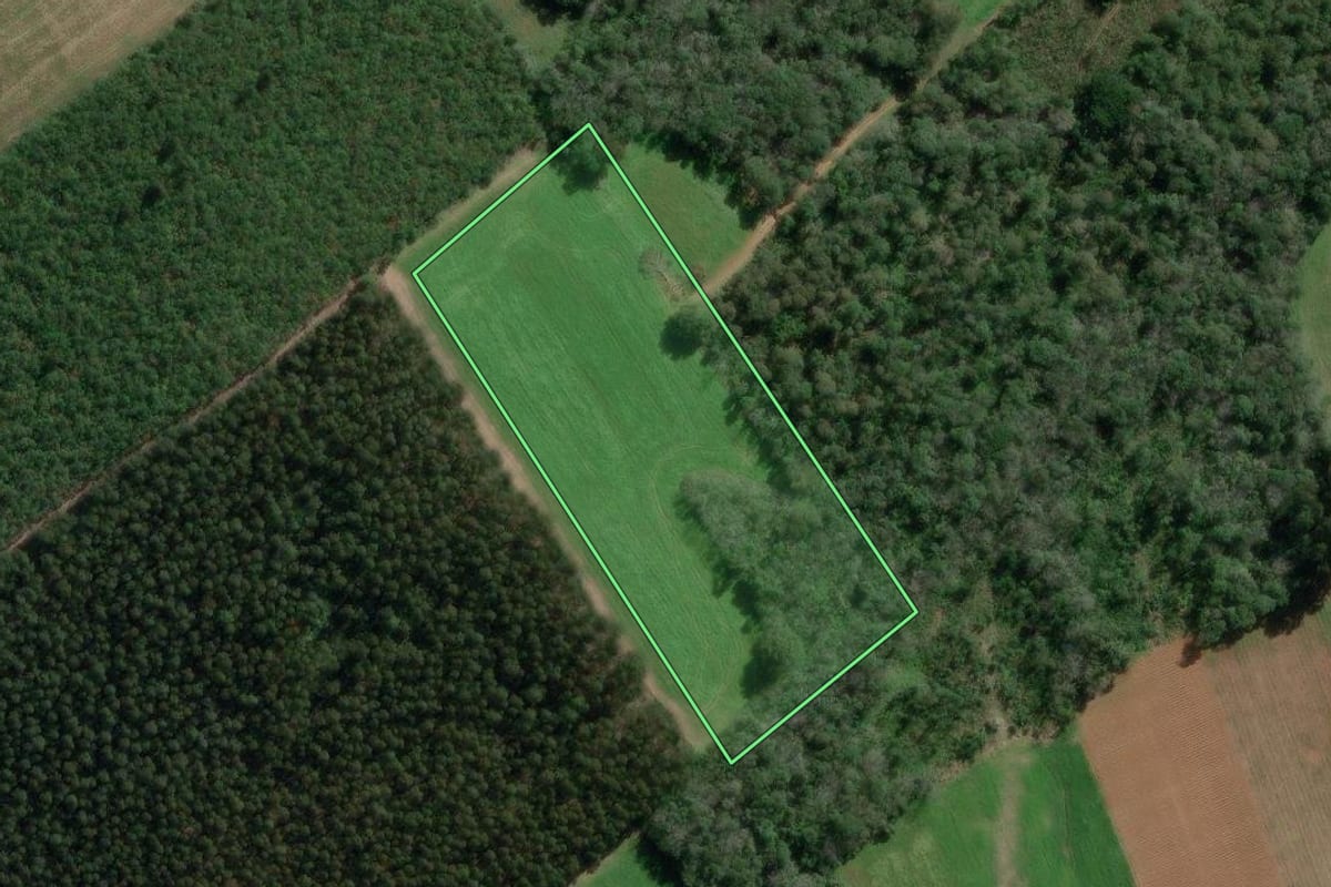 Imagem de satélite do imóvel rural em Canoinhas (SC), com o contorno declarado no CAR desenhado por cima.