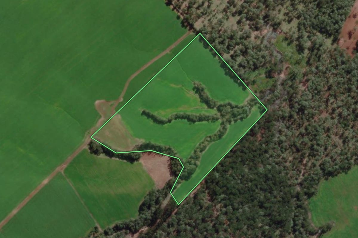 Imagem de satélite do imóvel rural em Canoinhas (SC), com o contorno declarado no CAR desenhado por cima.