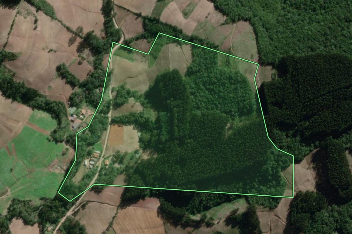 Imagem de satélite do imóvel rural em Canoinhas (SC), com o contorno declarado no CAR desenhado por cima.