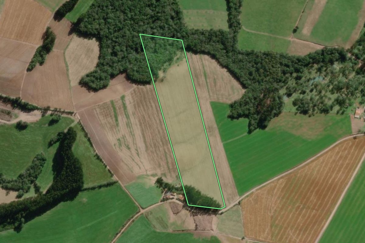 Imagem de satélite do imóvel rural em Canoinhas (SC), com o contorno declarado no CAR desenhado por cima.