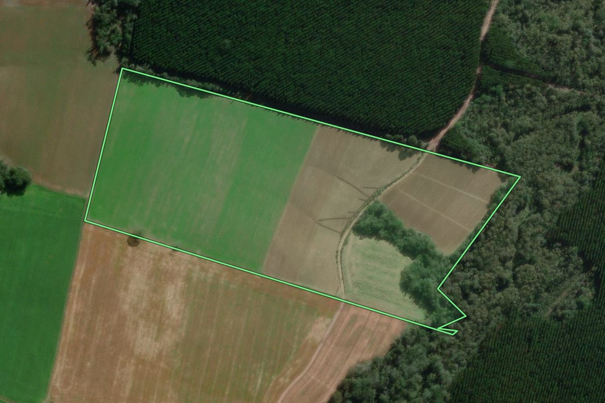 Imagem de satélite do imóvel rural em Canoinhas (SC), com o contorno declarado no CAR desenhado por cima.