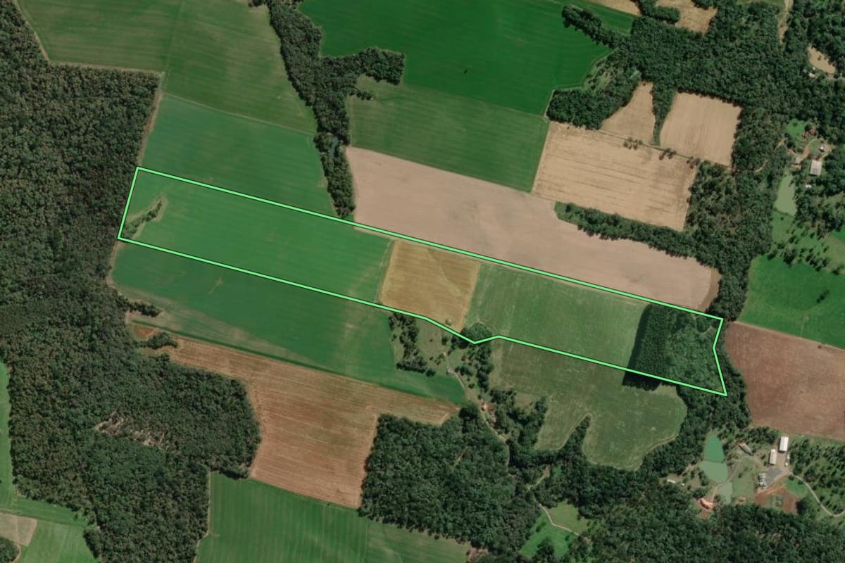 Imagem de satélite do imóvel rural em Canoinhas (SC), com o contorno declarado no CAR desenhado por cima.