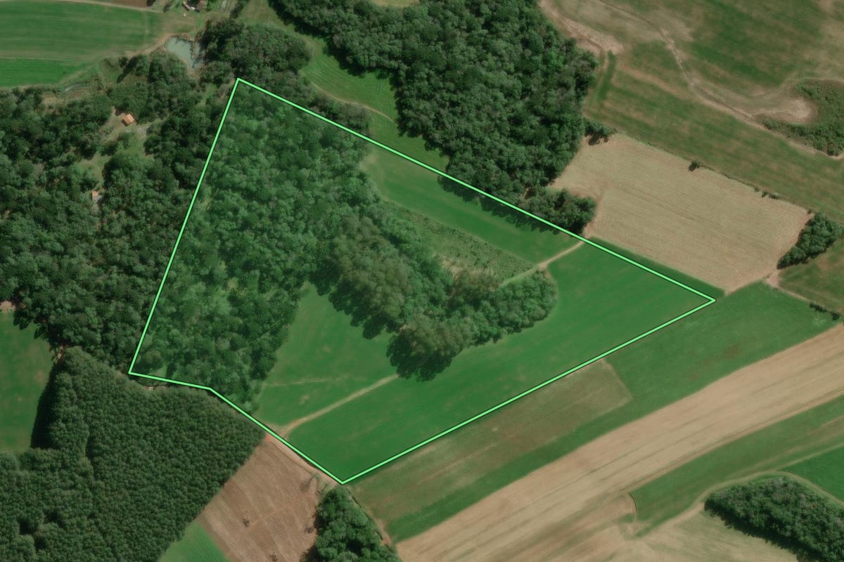 Imagem de satélite do imóvel rural em Canoinhas (SC), com o contorno declarado no CAR desenhado por cima.