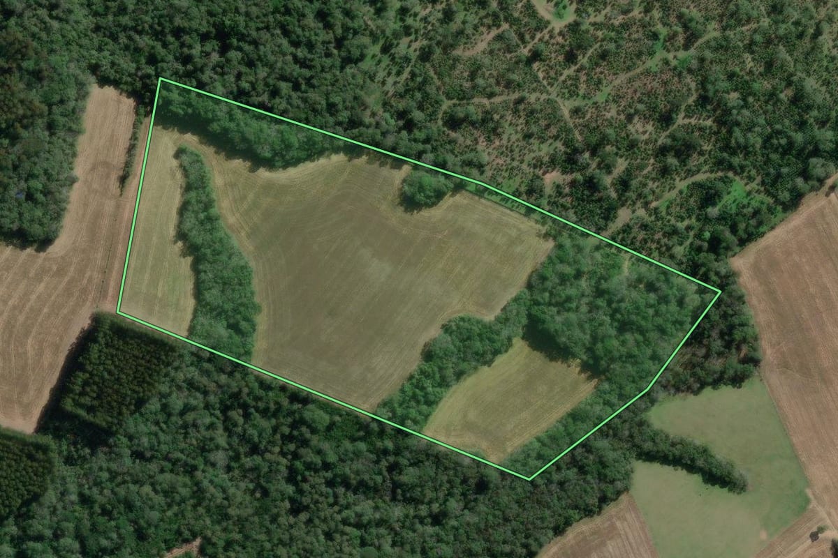 Imagem de satélite do imóvel rural em Canoinhas (SC), com o contorno declarado no CAR desenhado por cima.