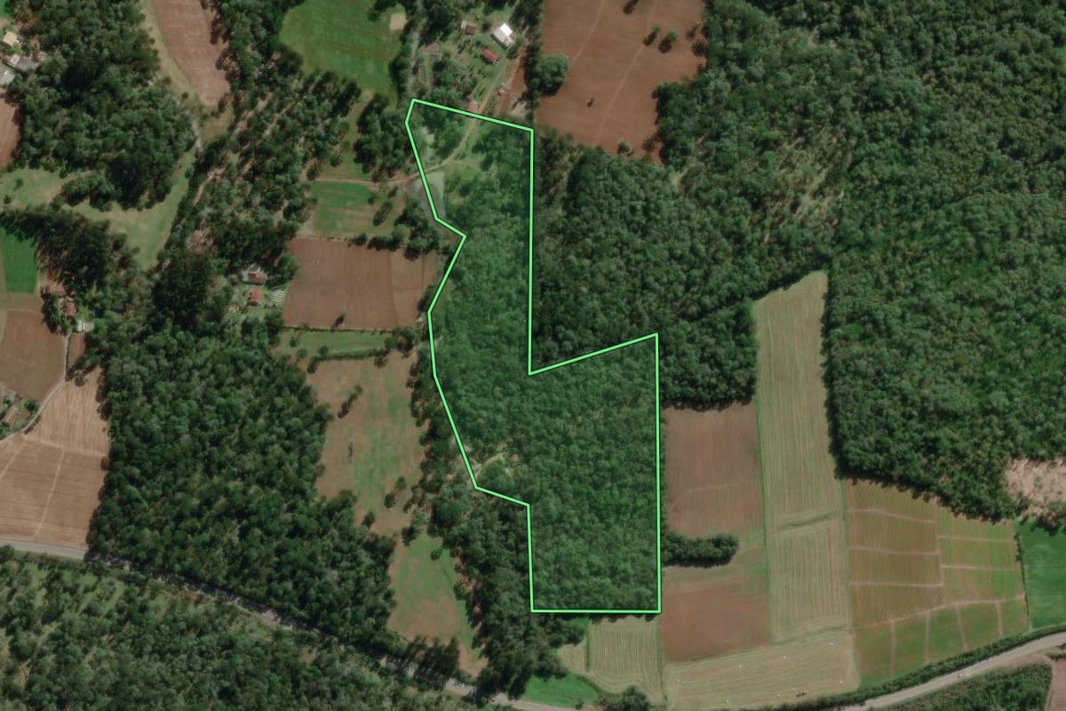Imagem de satélite do imóvel rural em Canoinhas (SC), com o contorno declarado no CAR desenhado por cima.