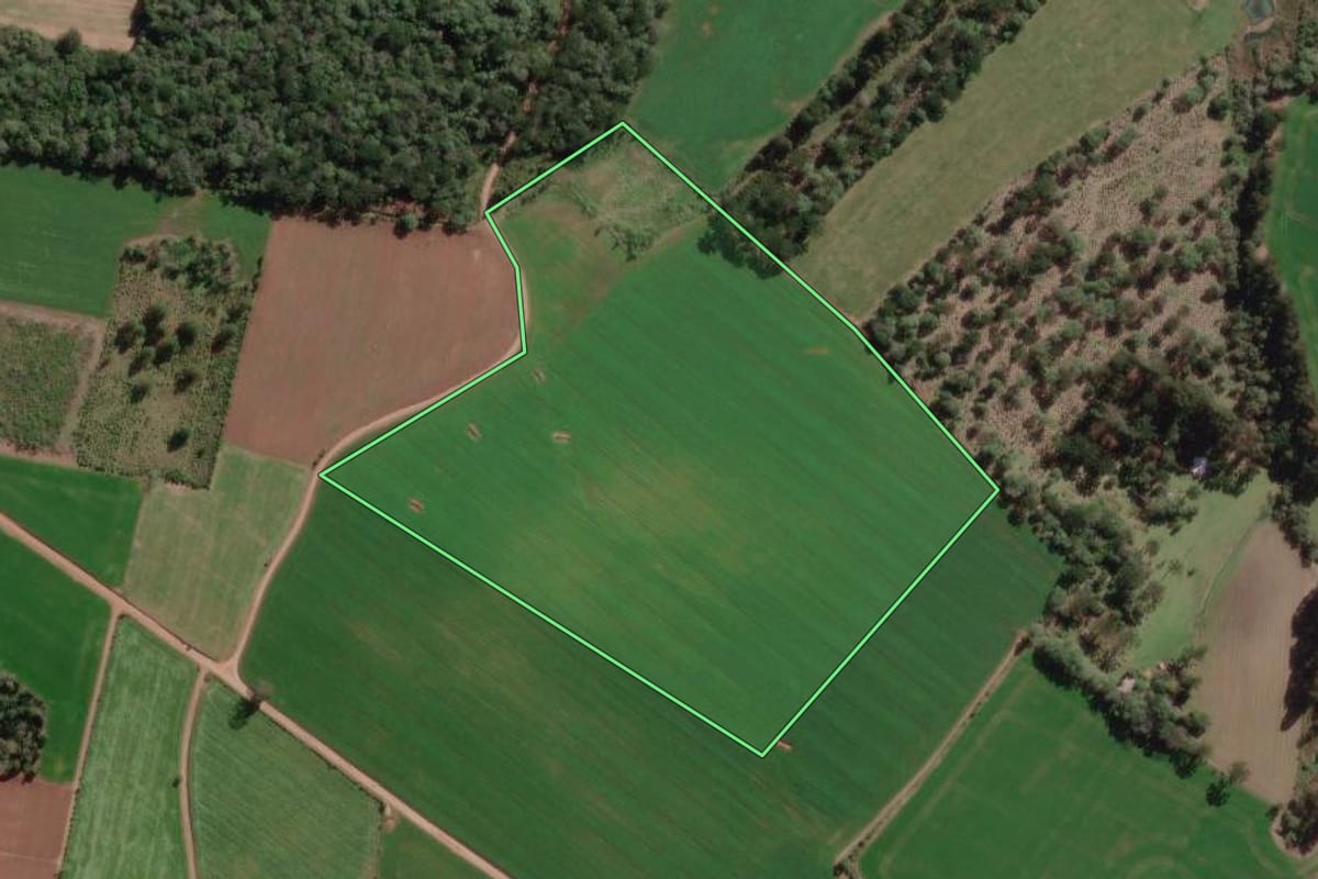 Imagem de satélite do imóvel rural em Canoinhas (SC), com o contorno declarado no CAR desenhado por cima.