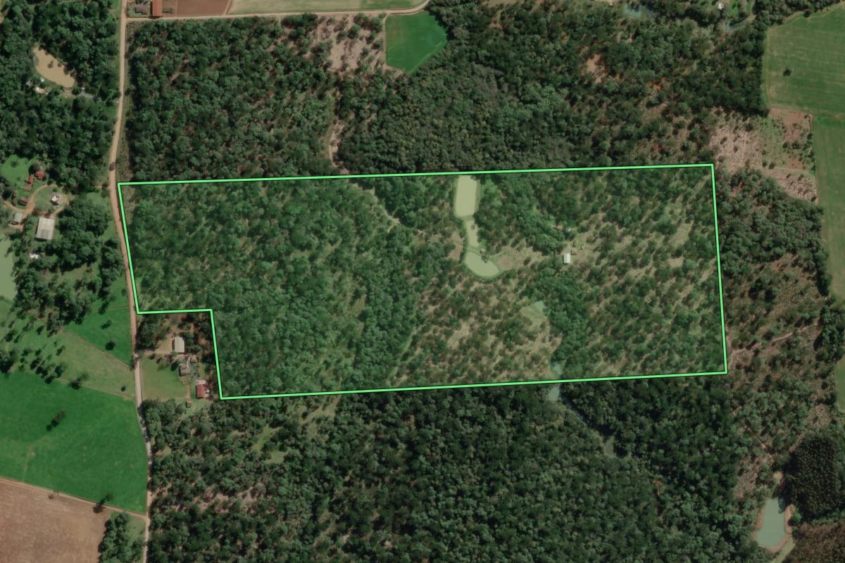 Imagem de satélite do imóvel rural em Canoinhas (SC), com o contorno declarado no CAR desenhado por cima.