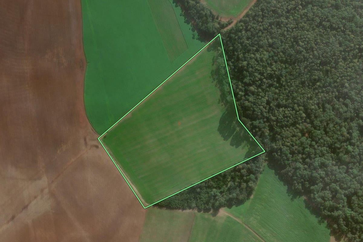 Imagem de satélite do imóvel rural em Canoinhas (SC), com o contorno declarado no CAR desenhado por cima.