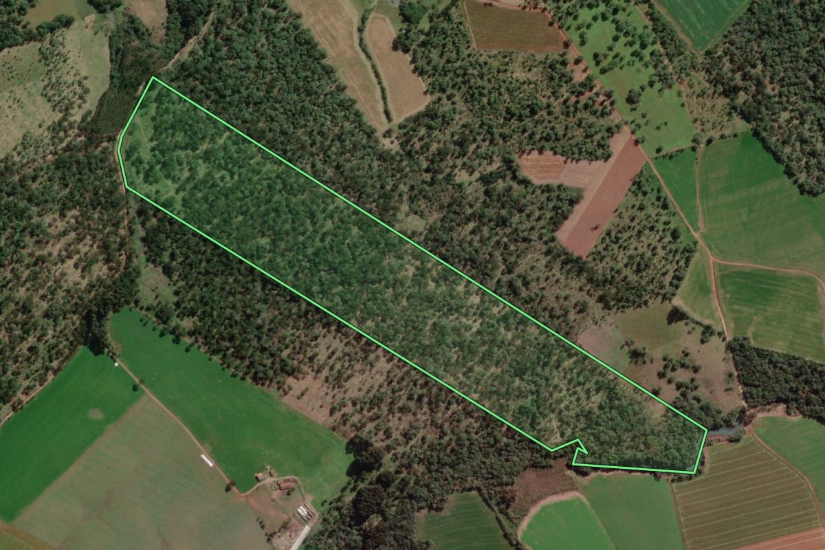 Imagem de satélite do imóvel rural em Canoinhas (SC), com o contorno declarado no CAR desenhado por cima.