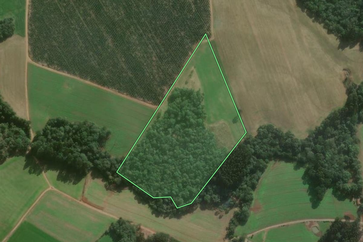 Imagem de satélite do imóvel rural em Canoinhas (SC), com o contorno declarado no CAR desenhado por cima.