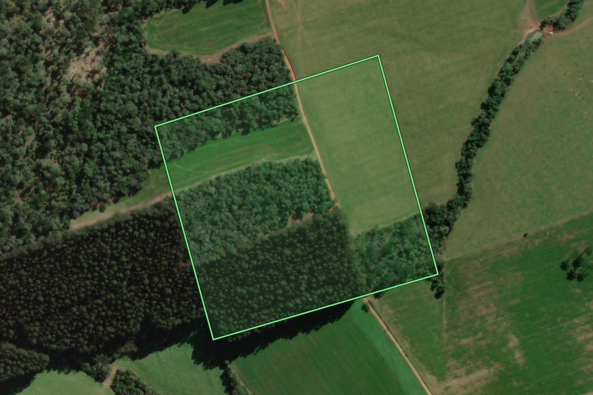 Imagem de satélite do imóvel rural em Canoinhas (SC), com o contorno declarado no CAR desenhado por cima.