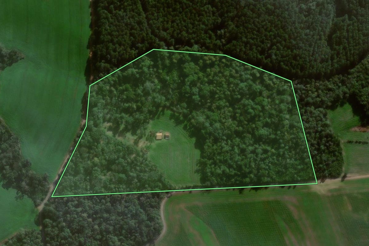 Imagem de satélite do imóvel rural em Canoinhas (SC), com o contorno declarado no CAR desenhado por cima.