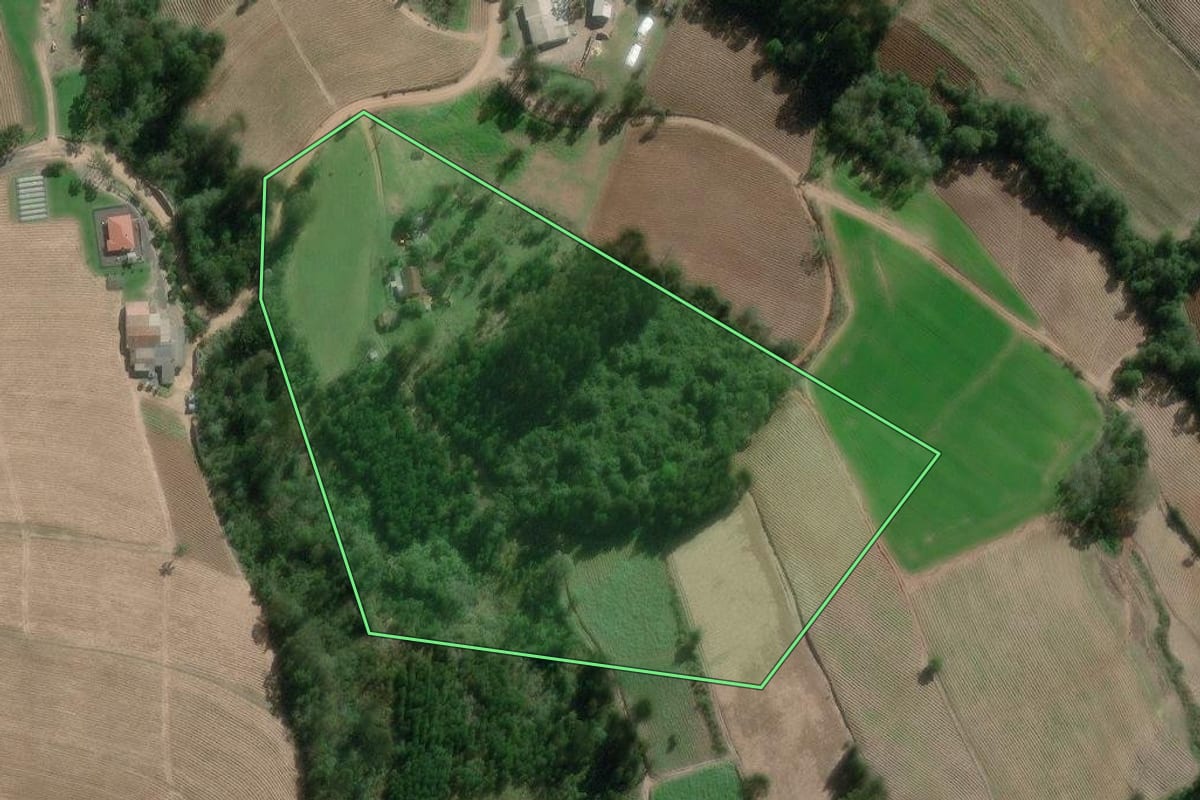 Imagem de satélite do imóvel rural em Canoinhas (SC), com o contorno declarado no CAR desenhado por cima.