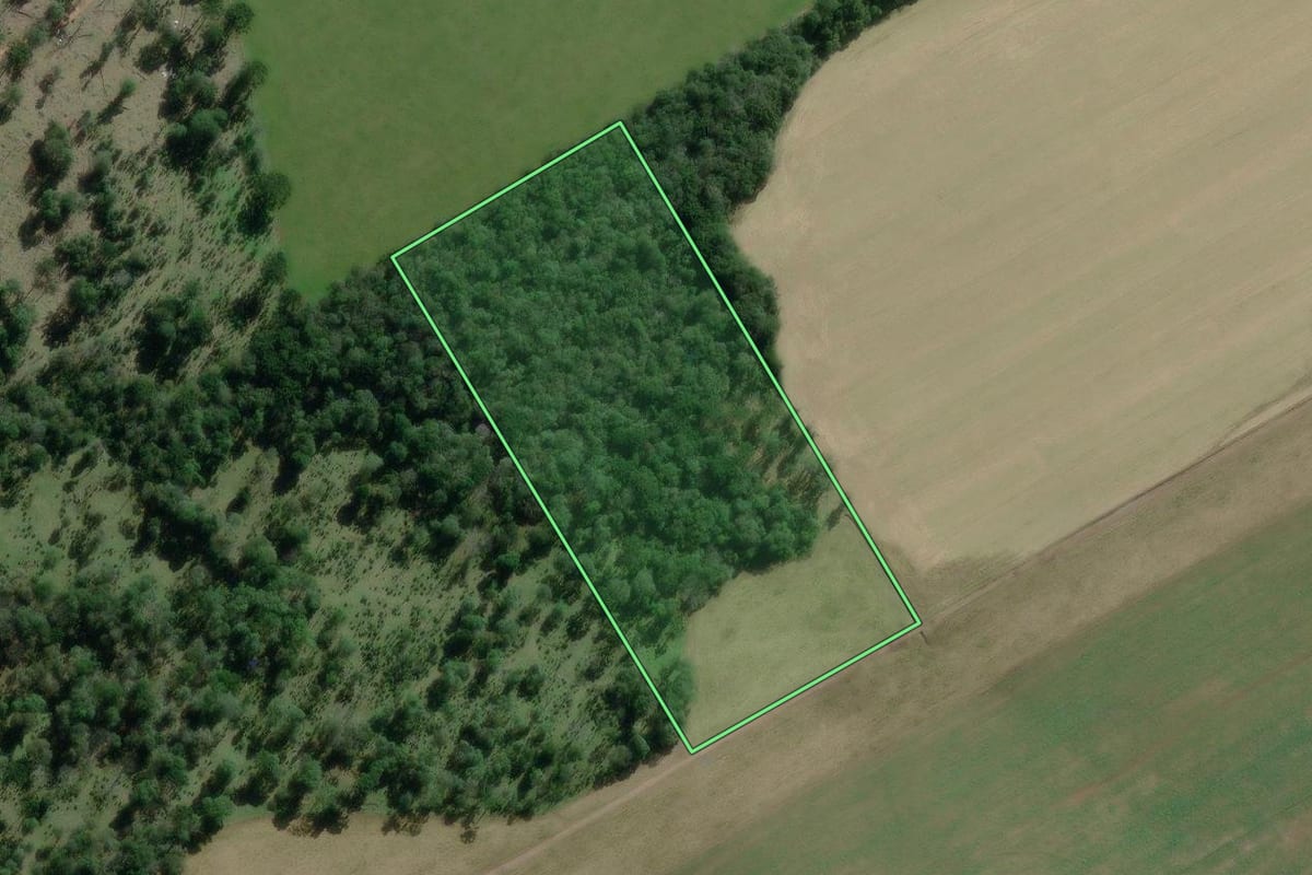 Imagem de satélite do imóvel rural em Canoinhas (SC), com o contorno declarado no CAR desenhado por cima.
