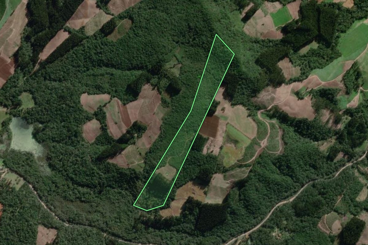 Imagem de satélite do imóvel rural em Canoinhas (SC), com o contorno declarado no CAR desenhado por cima.
