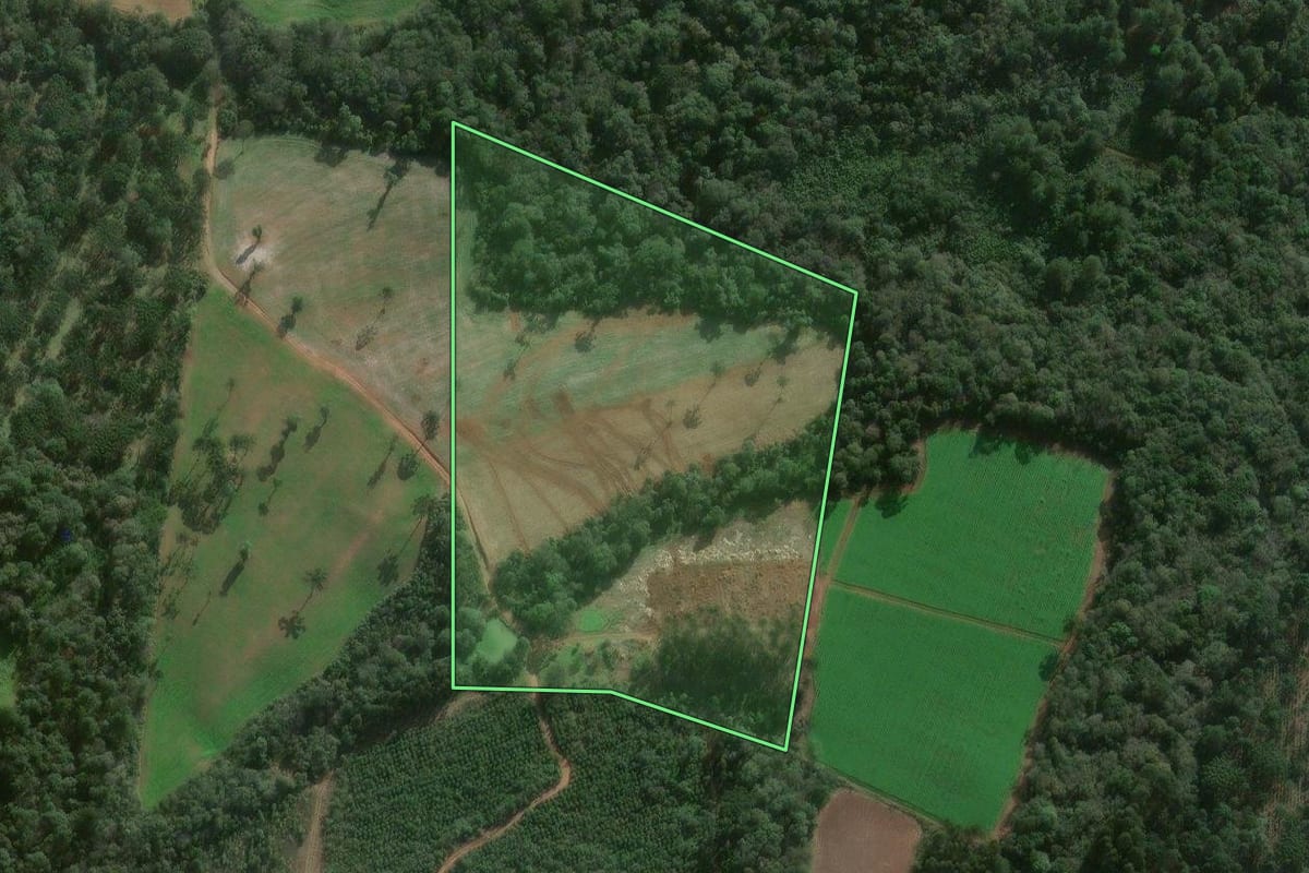 Imagem de satélite do imóvel rural em Canoinhas (SC), com o contorno declarado no CAR desenhado por cima.